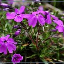 제이그랜드 이미지