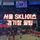 종합운동장(호암체육관) 8번게이트 내부 | [서울 잠실 농구 경기장 꿀팁] sk나이츠 홈개막전 203구역 10열 5,6번 / 주차정보 / 음식정보 / KBL어플...