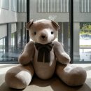 경포대오션호텔 | [신라 모노그램 강릉] 경포대 오션뷰가 돋보이는 강릉 신상 호텔, 디럭스 패밀리 트윈 오션뷰 후기