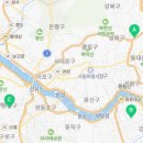 요미독 강아지분양 요미캣 고양이분양 목동점 이미지