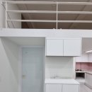 한솔로이젠트 이미지