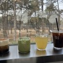 힐링 펫 카페 | 맛집]설연휴 이천카페 추천 포크테일 : 유토피아추모관 근처 산뷰 펫카페, 식사까지 가능한 힐링카페 후기