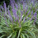 대술농장 이미지