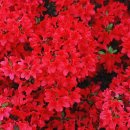 반추된 힘 이미지