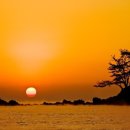 항우농장 이미지