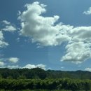 유천목장 이미지