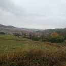 회귀-모정 이미지