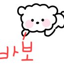 멍이네 수제간식 이미지