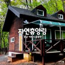 거제노자산펜션 이미지