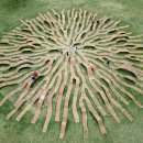 People Who Lost Love 이미지