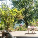 수성황토방민박 이미지