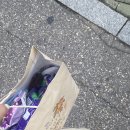 NR-7[동해대로]-하-130 | [조각149]노느라 지친 이번주