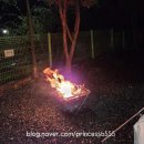 진북편백골관광농원캠핑장 이미지