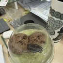 한알광고 | 2026 한알-4