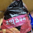 진로할인마트주 | [코스트코 울산점]코스트코 5월 다섯째주 할인 품목 및 특이하고 다양한 음료 추천