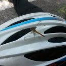 김삿갓면-10 이미지