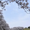 관동목장 이미지