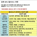 토르마린저온찜질방 네이버블로그