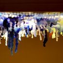 유기체 2019_8 이미지