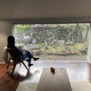 클랭블루수동커플&독채&감성숙소 이미지