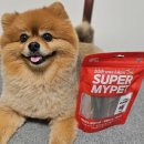 마이펫스토어 이미지