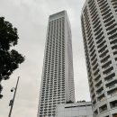 래인헤어라인 | [싱가포르2편] 1일차 :: 스위소텔 더 스탬포드 리뷰(56호라인 룸 컨디션, 음료바우처, 수영장 이용)