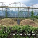 중앙로129번길 이미지