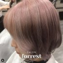 살롱포레스트 에이미