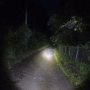 명월2리상실내 Daum카페
