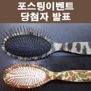 양지켄넬 이미지