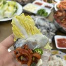 고기닷컴 | [통영 생굴 배송 추천] '장보고 닷컴' 통영 생굴 당일 배송 내돈내산 후기