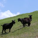 가실골농장 이미지