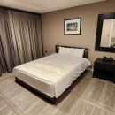 노블벨리 이미지