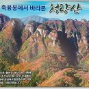 청량산유림길 이미지
