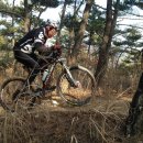 초연중학교 이미지