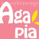 153직업소개소 | 창원산후도우미 아가피아산후도우미직업소개소 정보소개