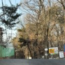 그래요 | [화성시/동탄/반월동] 로테이션 소개팅 솔로랜드 솔직 후기 | 그래요 나 도파민에 미쳐서 또 다녀왔어요