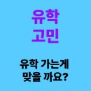 미국 유학 고민 이동수 전화신점 후기