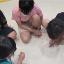 높은음자리음악학원 이미지