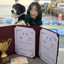 한국반려동물전문학원 네이버블로그