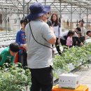 김성일농장 이미지