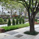 좌동초교 이미지