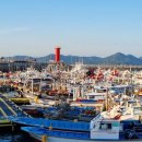 대천항종합수산물시장 이미지