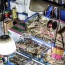 플러스할인마트 이미지