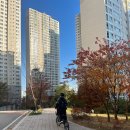 연포초등학교 병설유치원 | 부산 아파트 임장) 대연롯데캐슬레전드 / 부산 남구 대연동 / 부동산 / 부동산 방문