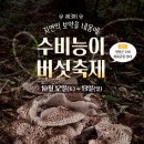 수비면 체육공원 이미지