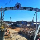 봉정농장 이미지