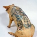 장미모텔 이미지