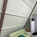 강아지의 하루 이미지