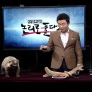 오소리스튜디오 이미지